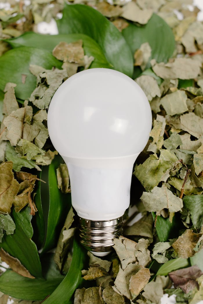services-03 Close-up of a light bulb resting on a mix of dried and green leaves, symbolizing eco-friendliness.